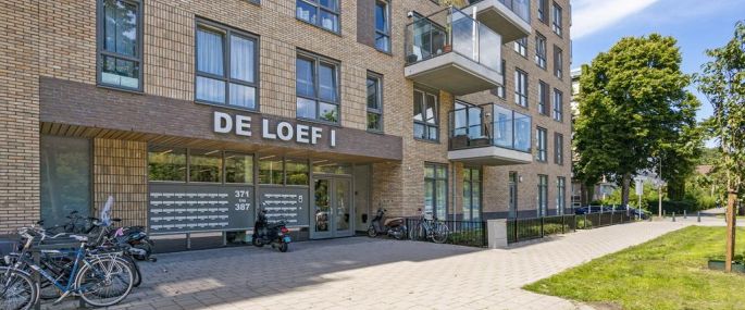 Loevesteinlaan 377 A, 2533 AM, 's-Gravenhage - Photo 1