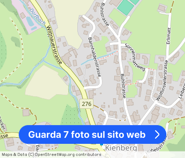 2.5 Zimmer, 58 m², EG - Foto 1