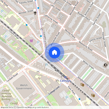 Miskin Street, CF24 4AS, Cathays