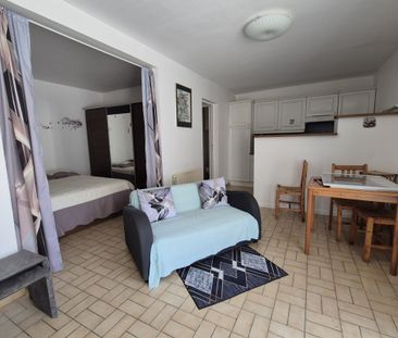 Agréable appartement de type F2 avec toutes les commodités à - Photo 4