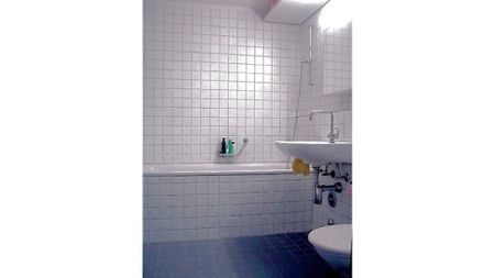 Loft in Zürich - Kreis 5 Escher Wyss, auf Zeit - Foto 4