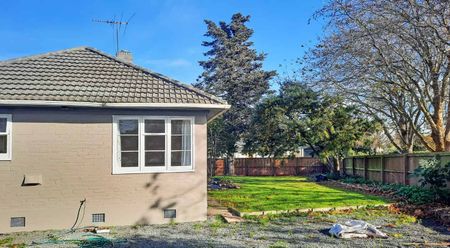 Three Bedroom Home In A Great Location With Lots Of Parking - Photo 5