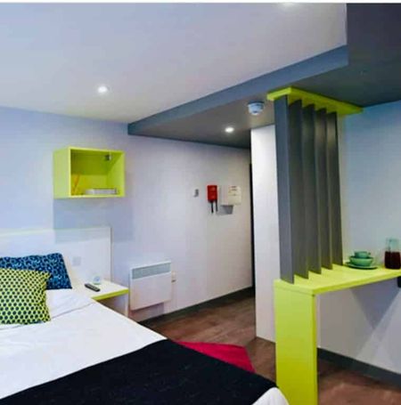 Executive Plus Studio - Photo 4