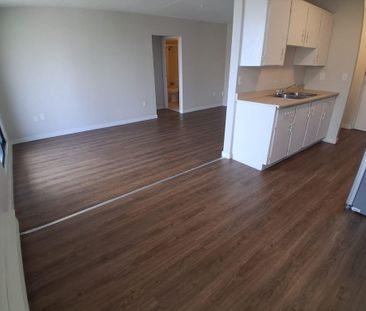 One Bedroom Apartment - Photo 5