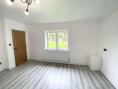 Heol Yr Eithen, Cwmrhydyceirw, Swansea, SA6 - Photo 3