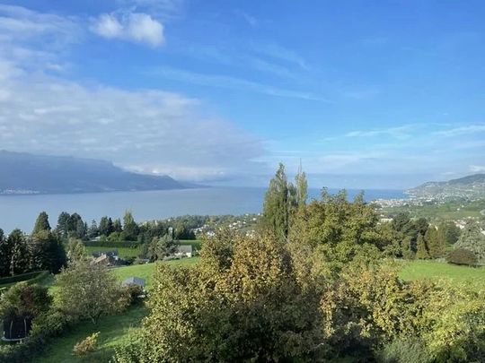 Appartement de 2.5 pièces meublé au 1er étage - Photo 1