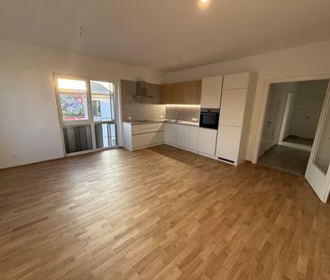 Erstbezug: 2-Zimmer Wohnung im 2. OG / Top B08 - Photo 1