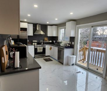 For Lease - 219 Mcmurchy Avenue Unit# Main, Brampton, Ontario - Photo 6