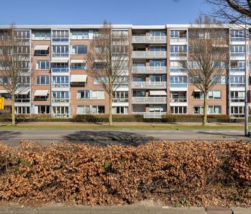 Appartement te huur: Plantageweg 19 3333 GZ Zwijndrecht - Photo 3