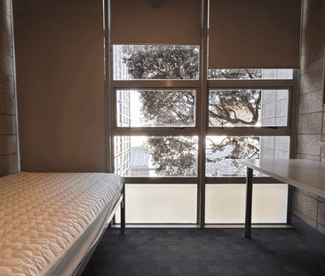 UniLodge Apartment in City Center - Photo 1