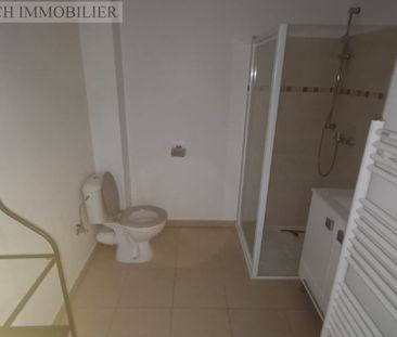 Location Appartement 1 pièce 20m² NICE 06300 - Photo 3