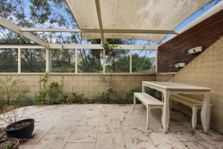 3M Tristania Street, Rivett ACT 2611 - Townhouse For Rent | Domain - Photo 2