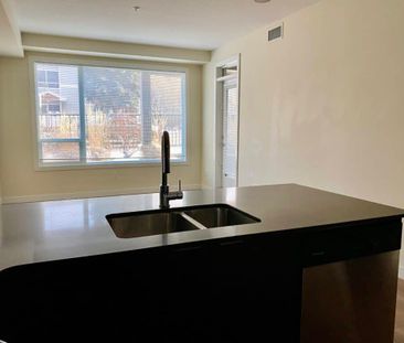 Edmonton Unfurnished Condo Rental in Strathcona - Modern One Bedroo... - Photo 6