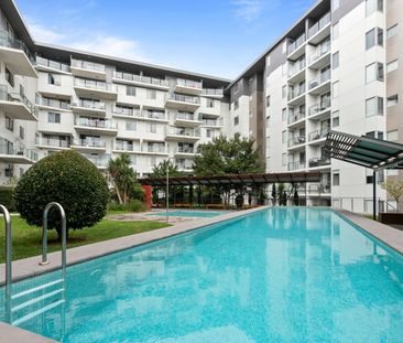 8/20 Moore Street, Turner ACT 2612 - Apartment For Rent | Domain - Photo 4