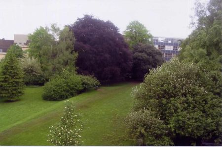 Berkeley Square, Bristol - Photo 3