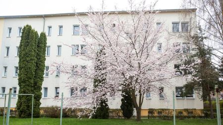 Gemütliche 2-Raumwohnung in Hohenmölsen - Photo 4
