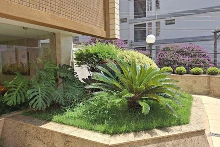 Amplo e aconchegante apartamento de 3 quartos (1 suíte) no coração do Gutierrez, BH, com elevador e 2 vagas de garagem - Foto 5