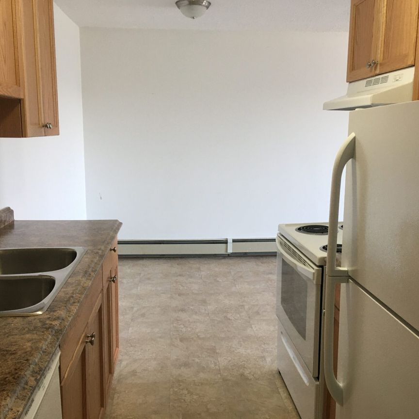 Totem II Apartments – 2 Bedroom - Photo 1