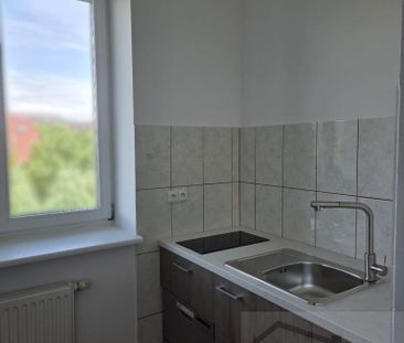 Pińska, ZACHODNIOPOMORSKIE, GUMIEŃCE, Szczecin - Photo 5