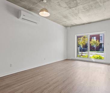 2211 Rue Harry-Halton, Montréal, QC - Photo 5