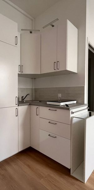 Location Appartement 1 pièce 20m² REIMS 51100 - Photo 1