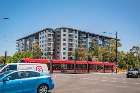 52/77 Northbourne Avenue, Turner. - Photo 5