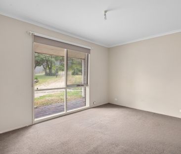 Peaceful Living on a Spacious, Tree-Lined Block - Photo 2