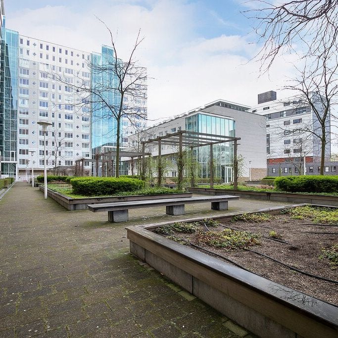 Te huur: Appartement Koningin Wilhelminaplein in Amsterdam - Photo 1