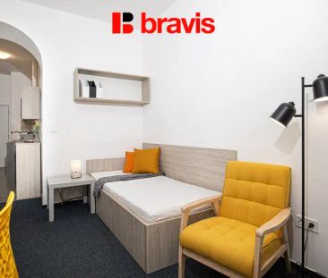 Pronájem bytu 1+1, Brno - Staré Brno, ul. Křížová, zařízený, klidný... - Fotografie 3