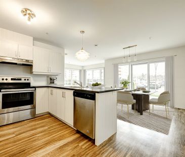 1 Bedroom - 301 Place Claude-Dagenais, Sainte-Thérèse - Photo 2