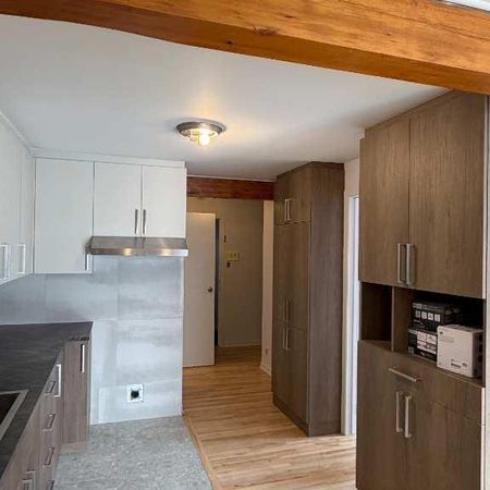 3 1/2 à louer au centre ville de Saint-jérome - Photo 3