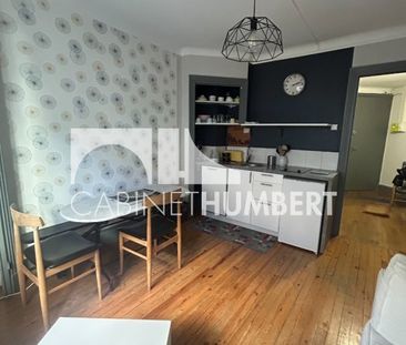 Location Appartement 2 pièces Meublé 35m² ST ETIENNE 42000 - Photo 3