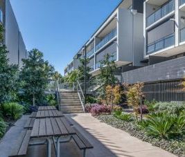 Contemporary 1-Bedroom Apartment ! - Photo 3