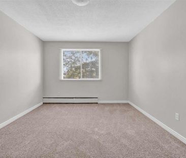 1 Bedroom - Renovated - Photo 5