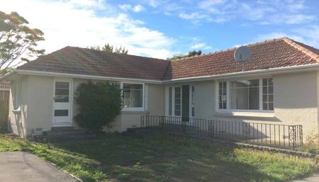 Sunny 4 Bedroom Home in Fantastic Location!! - Photo 3