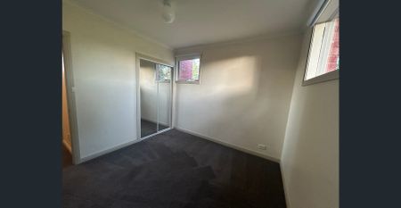 What A Find! - Photo 4