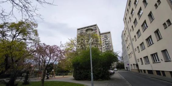 Pronájem - cihlový byt 1+kk 14 m - Fotografie 3