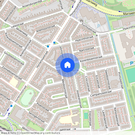 Pierik, 8013 XN, Korenbloemstraat, Zwolle