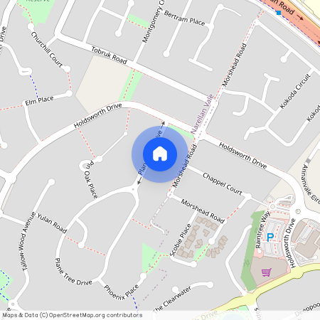 9 Plane Tree Drive, NSW 2567, Narellan Vale