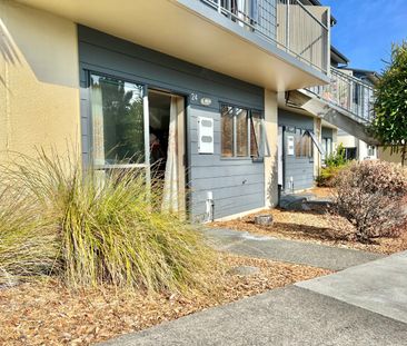 1 Bedroom in Papatoetoe - Photo 2