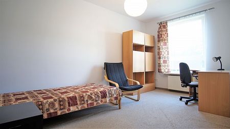 2 POKOJOWE Z OSOBNĄ JASNĄ KUCHNIĄ, 50M2 PRZY GRZEGÓRZECKIEJ, DO 4 OSÓB - Photo 5