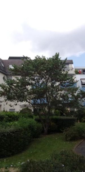 Location Appartement 1 pièce 30m² VERNON 27200 - Photo 1