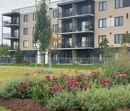 3 1/2 - Lévis - 1 200 $/mois - Photo 4