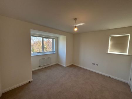 The Steeperton - Photo 3