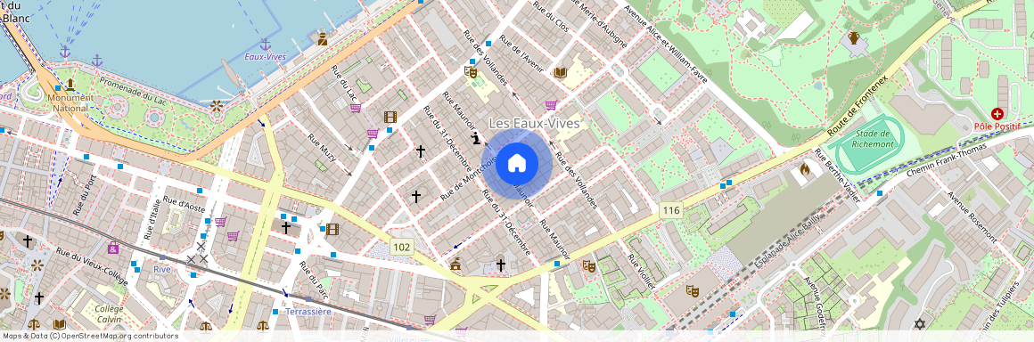 Rue Maunoir 19, 1207, Genève