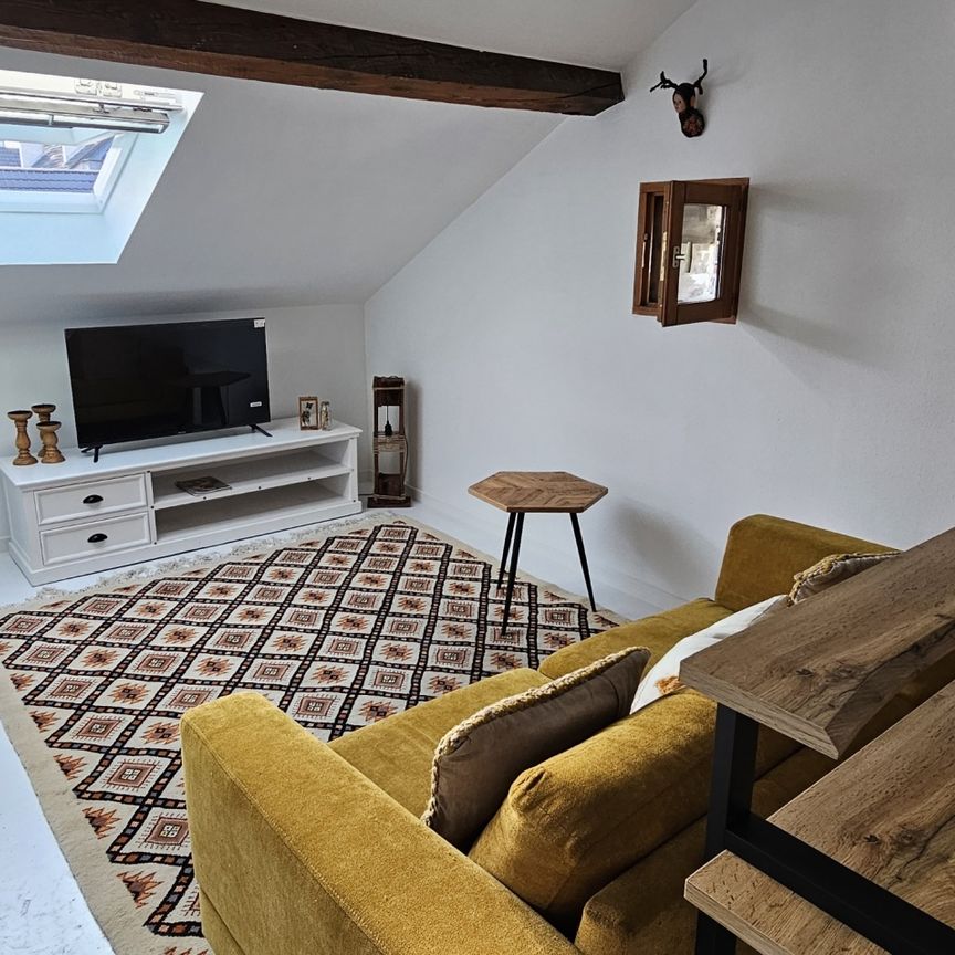 Location Appartement 1 pièce 50m² MULHOUSE 68100 - Photo 1