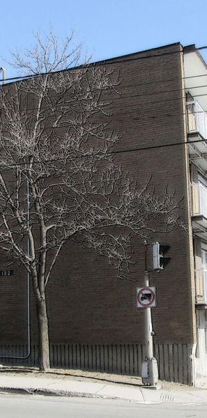 1 1/2 - Montréal (Lachine) - 1 300 $/mois - Photo 1