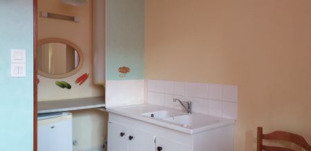 Location Appartement 1 pièce 21m² - Photo 3