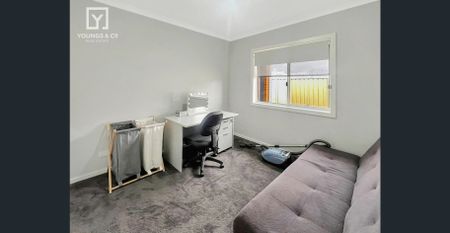 Modern Family Living in Windsor Park Estate - Photo 4