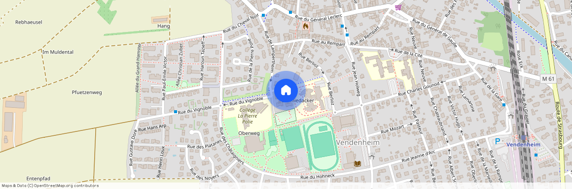 GRAND-EST, BAS-RHIN (67), 67450, Lampertheim